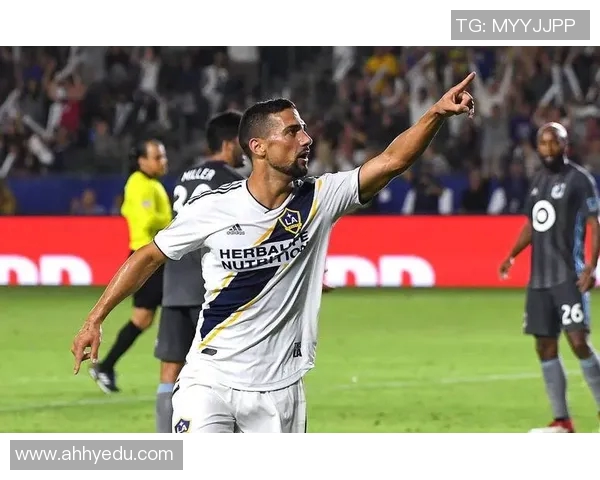 巴西国际主场迎战戈亚斯球迷期待精彩对决与激烈竞争