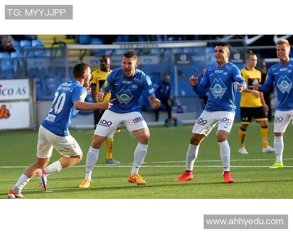 比利时与爱尔兰精彩对决集锦回顾，足球激情碰撞瞬间不容错过