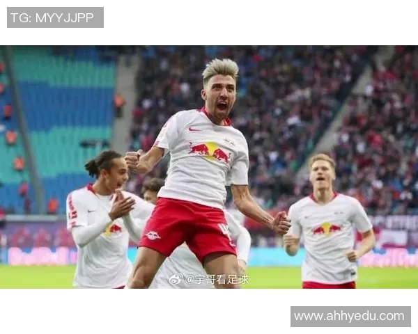 海尔蒙特对阵坎布尔精彩直播全程回顾与赛后分析