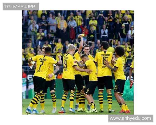 多特蒙德与巴黎圣日耳曼精彩重播回顾分析与赛后点评