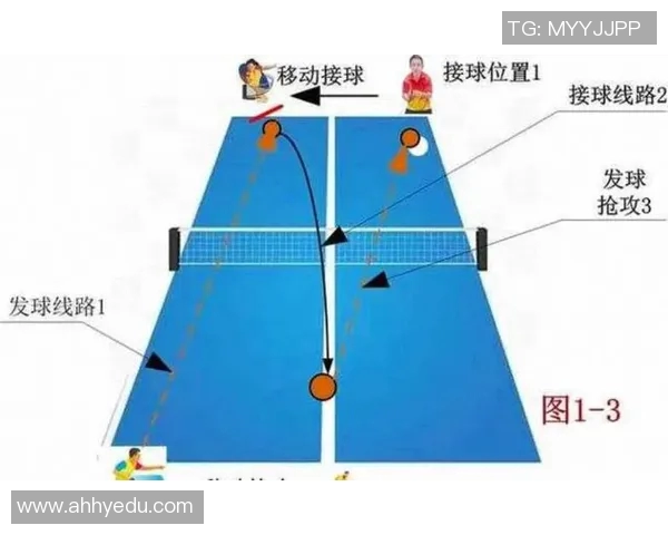 乒乓球技艺探秘：西安乒乓球队快攻战术的深度解析与实践