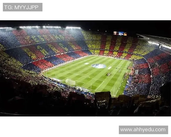 南安普敦主场迎战埃弗顿期待逆转局势争取胜利