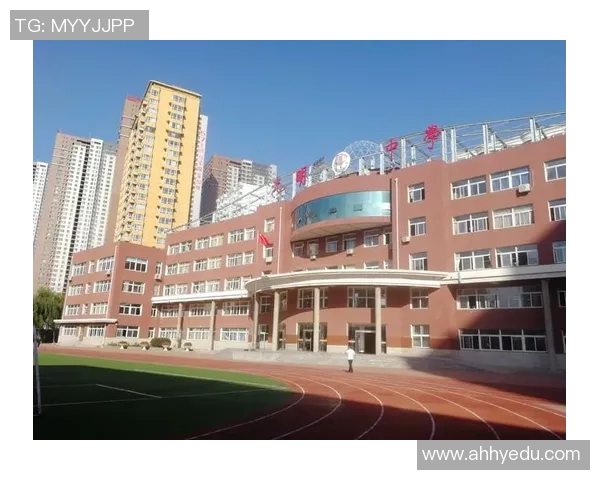 张宁的奋斗历程与人生哲学探索:从平凡到卓越的成长之路