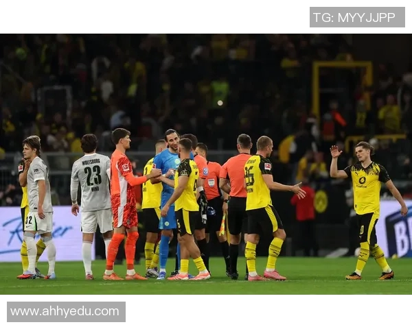 拜仁与多特精彩对决全场集锦回顾尽显足球魅力与激情