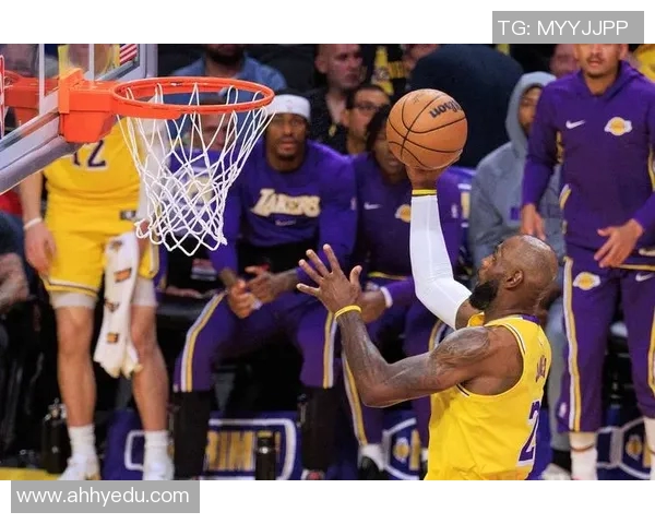 湖人对决国王精彩直播NBA赛场激战正酣不容错过