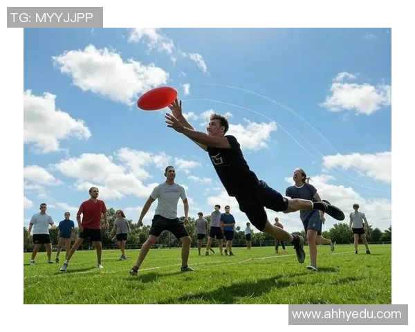 飞盘焦点：深入解析上海飞盘队的战术节奏与团队协作MBA