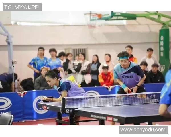 乒乓球的魅力：深入了解上海乒乓球队的团队合作与默契精神