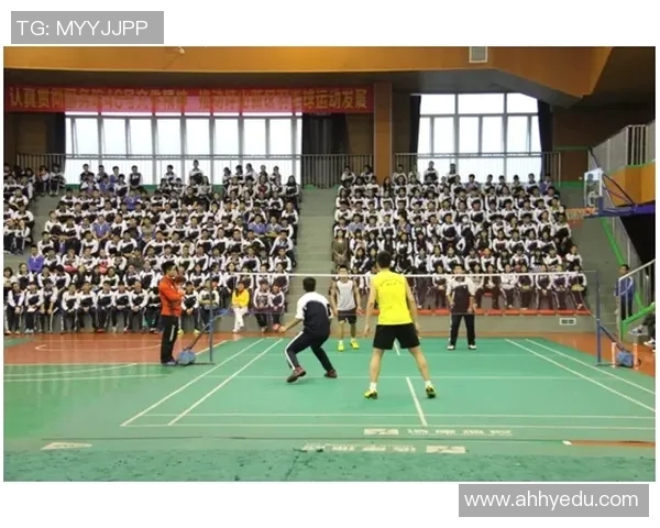 深圳羽毛球队的崛起与发展探讨聚焦力量与团队精神的结合