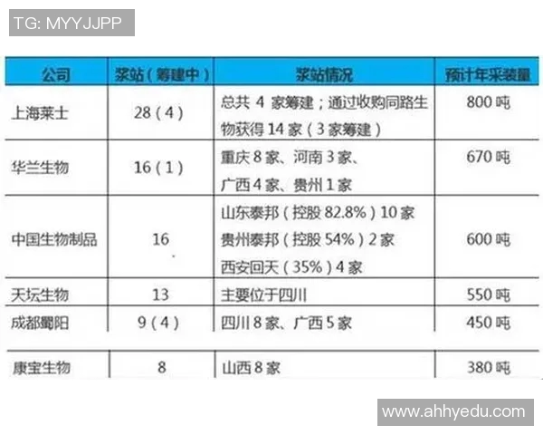 重庆网球队实力深度剖析及各队员表现对比研究